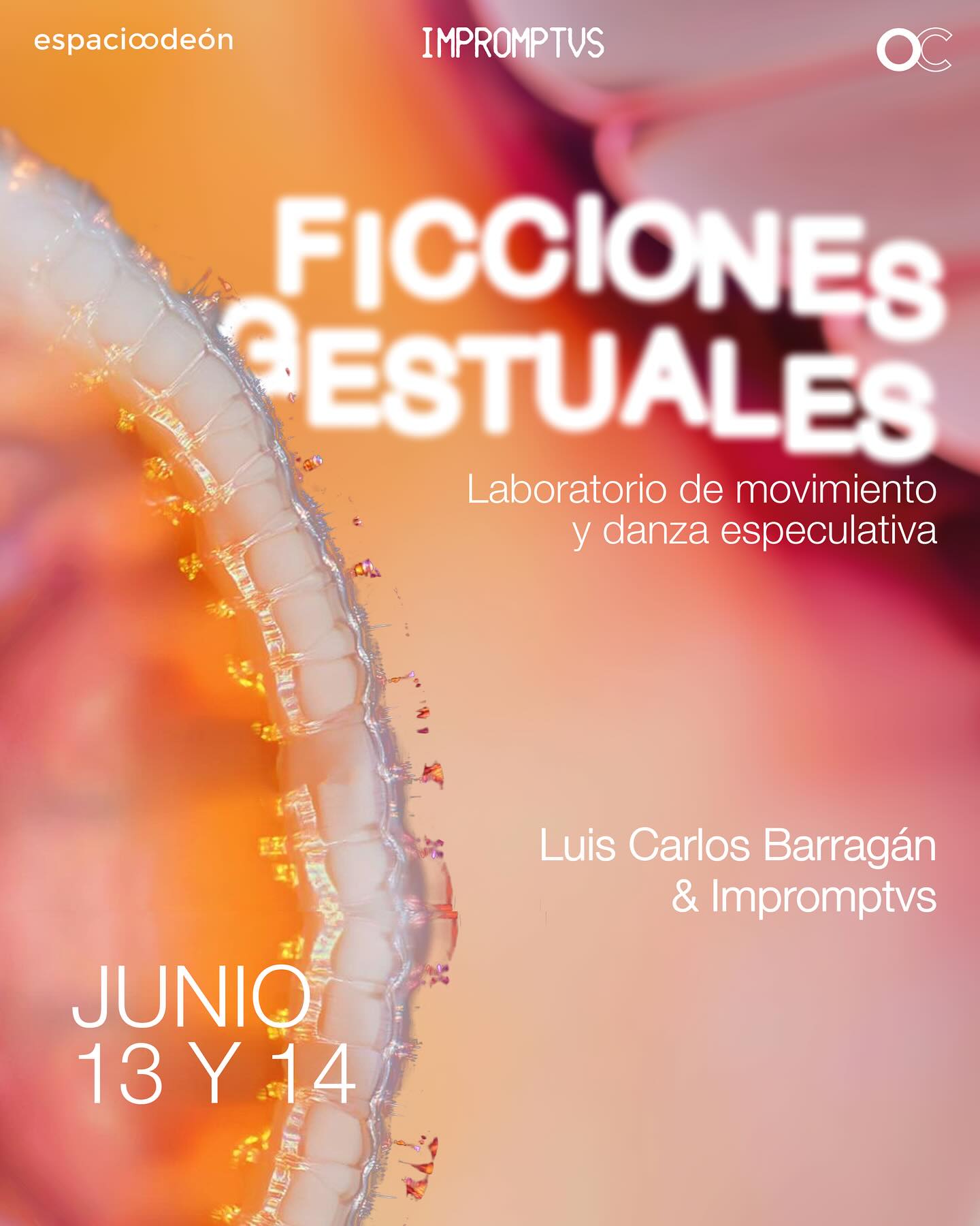 FICCIONES GESTUALES:TALLER DE DANZA ESPECULATIVA