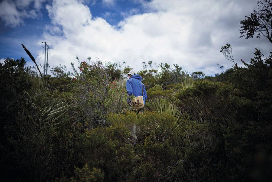 Cuerpos biodiversos de la ciudad. Todo lo que usted quiso saber sobre la relación entre biodiversidad y la ciudad. Conversación por el Instituto Humboldt. | FILBo 2025