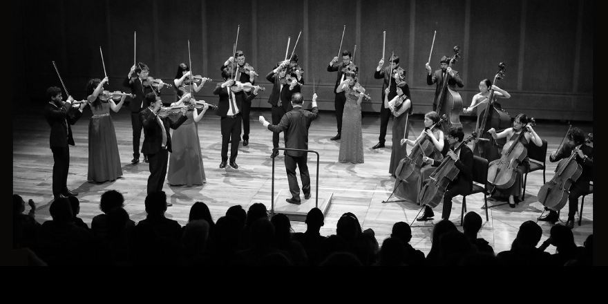 Orquesta Filarmónica Juvenil de Cámara | Leonardo Federico Hoyos · Director · Colombia